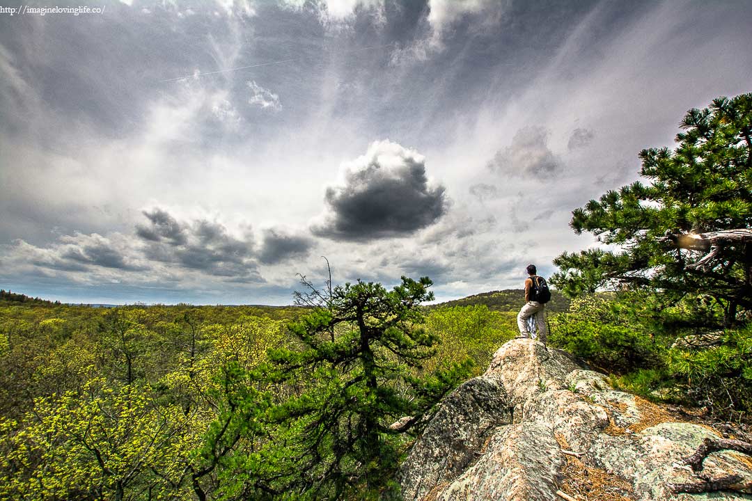 blue trail lookout